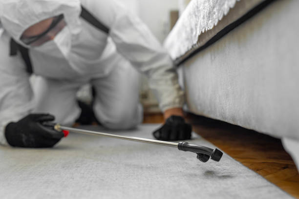 Professional Termite Control technician working in Rogers, MN