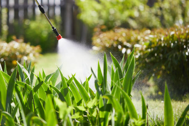 24/7 Emergency Termite Control experts in Rogers, MN