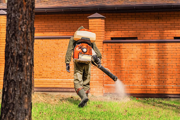 Top rated local Termite Control specialists in Rogers, MN